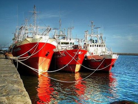 Preven Oil Flota pesquera 3